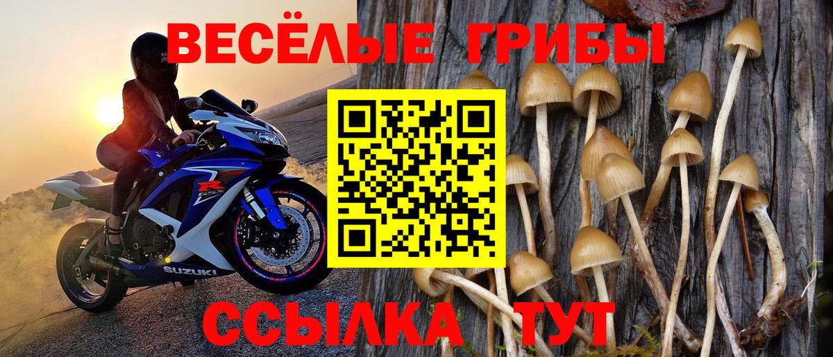 Галлюциногенные грибы прущие грибы  Псилоцибиновые грибы ЛСД  Мончегорск  Вход с VPN 
