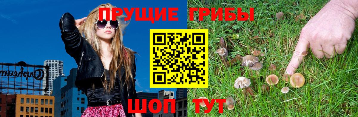Галлюциногенные грибы мухоморы Мончегорск